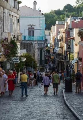Ischia, invasione di topi in zona porto