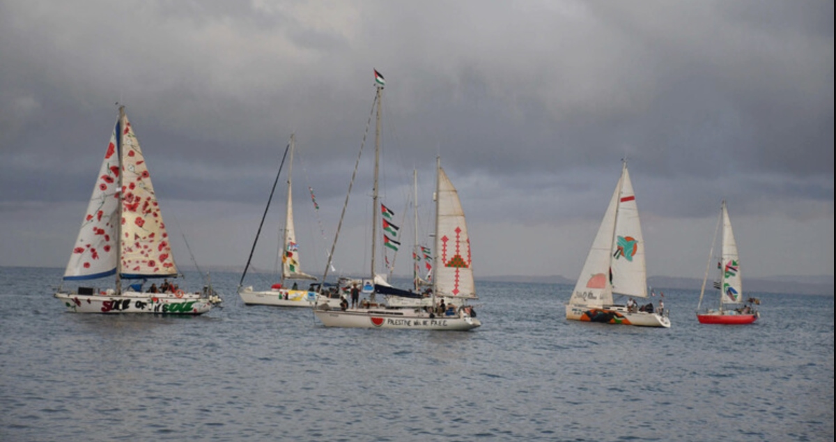 rischio totale flotilla la notizia peggiore 233 appena arrivata