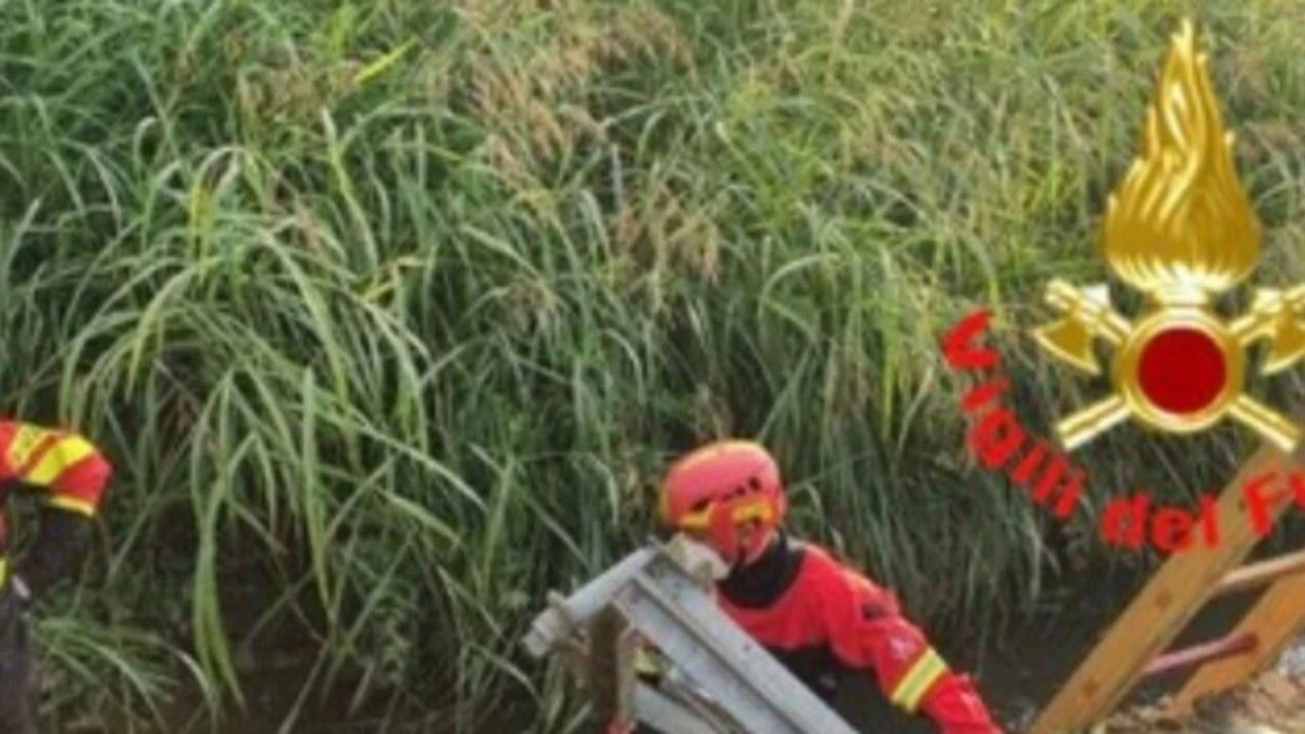 “Purtroppo è lui”. Scomparso da giorni: come l’hanno trovato