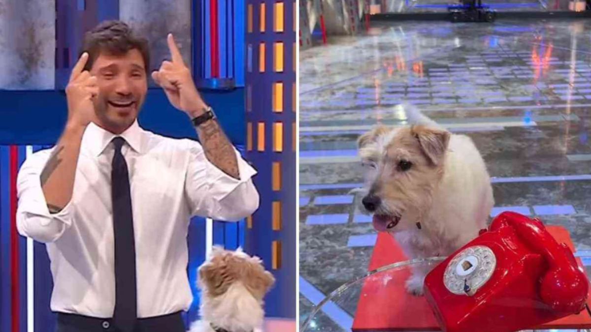 “Affari tuoi”, chi c’è dietro Gennarino: ha lavorato con nomi importantissimi “Affari tuoi”, chi c’è dietro Gennarino: ha lavorato con nomi importantissimi