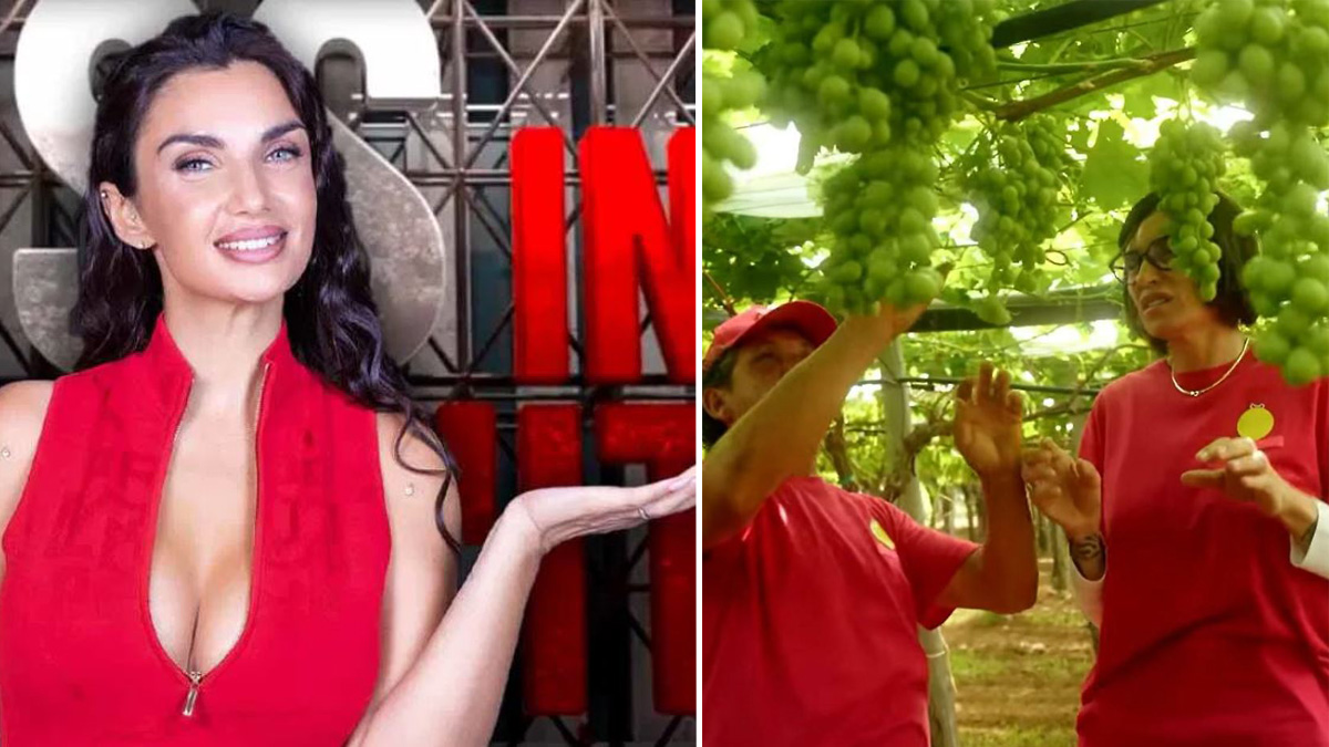 “Irriconoscibile”, Elettra Lamborghini conquista Rai 2 (e gli scettici): cosa succede stasera a Boss in incognito “Irriconoscibile”, Elettra Lamborghini conquista Rai 2 (e gli scettici): cosa succede stasera a Boss in incognito