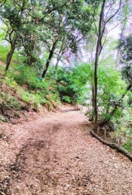 Parco Naturale del Vesuvio