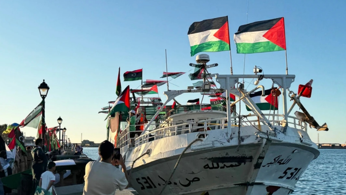 li abbiamo visti flotilla la notizia 233 appena arrivata cosa succede