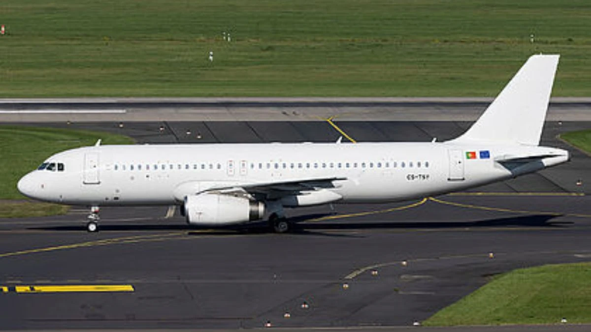 Interno dell'aereo JetBlue durante il momento di panico