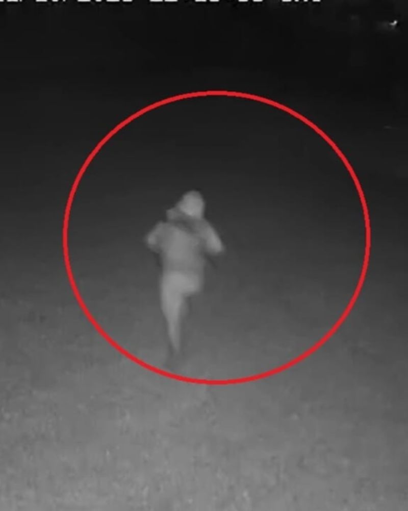 Immagine dei ladri in fuga dal giardino di casa