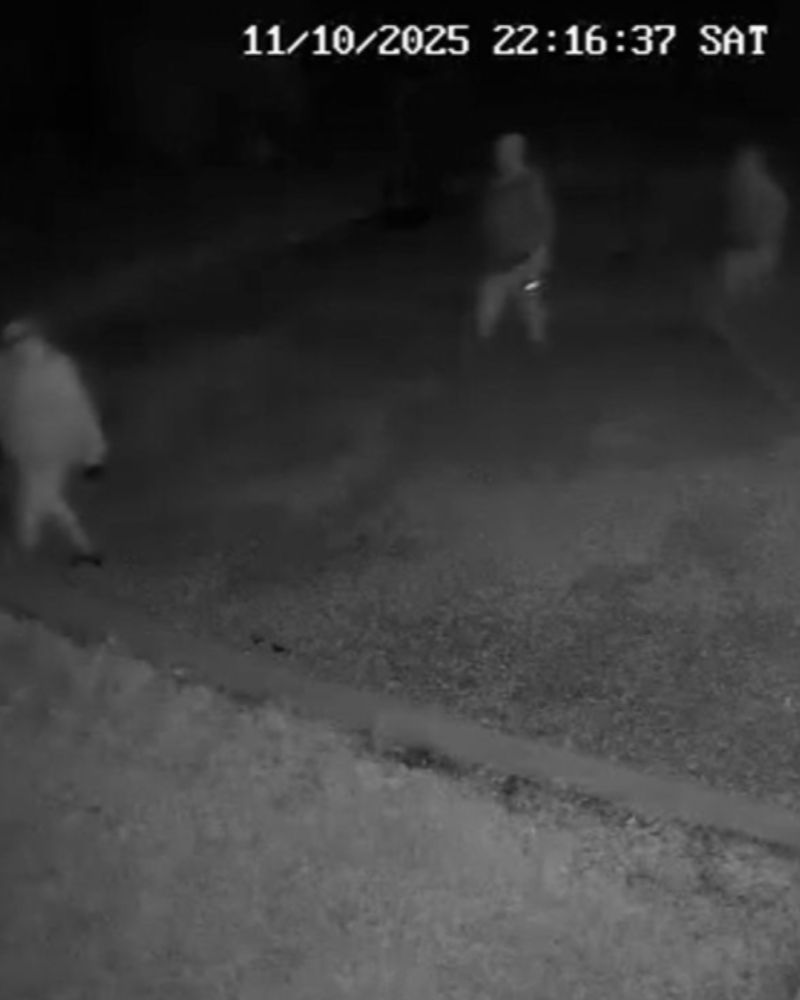 Immagine di un ladro ripreso dalle telecamere di sorveglianza