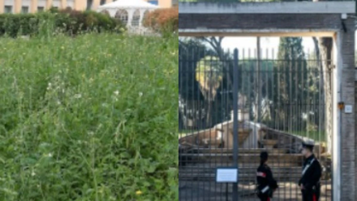 Roma, nuove ricerche sul caso Adinolfi: “Scavi alla Casa del Jazz dopo 31 anni di mistero”