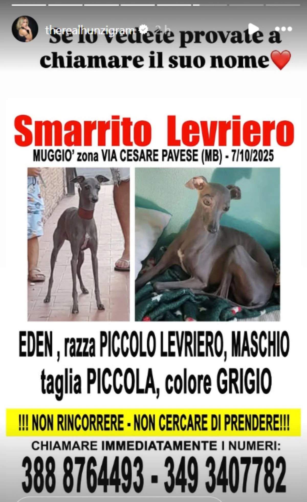 Cane Eden cercasi appello social