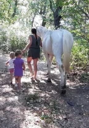 Bimbi tolti alla famiglia nel bosco: Salvini interviene contro la Procura