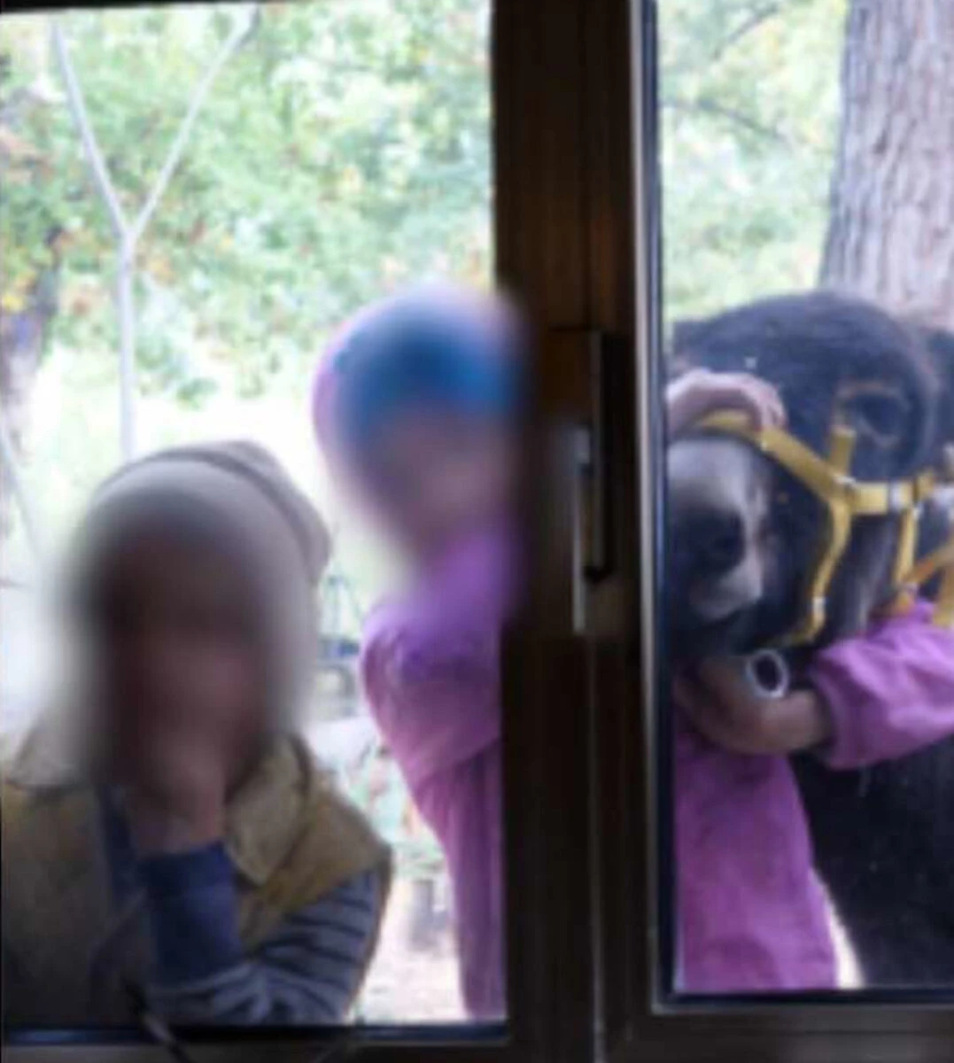 Il bosco dove viveva la famiglia