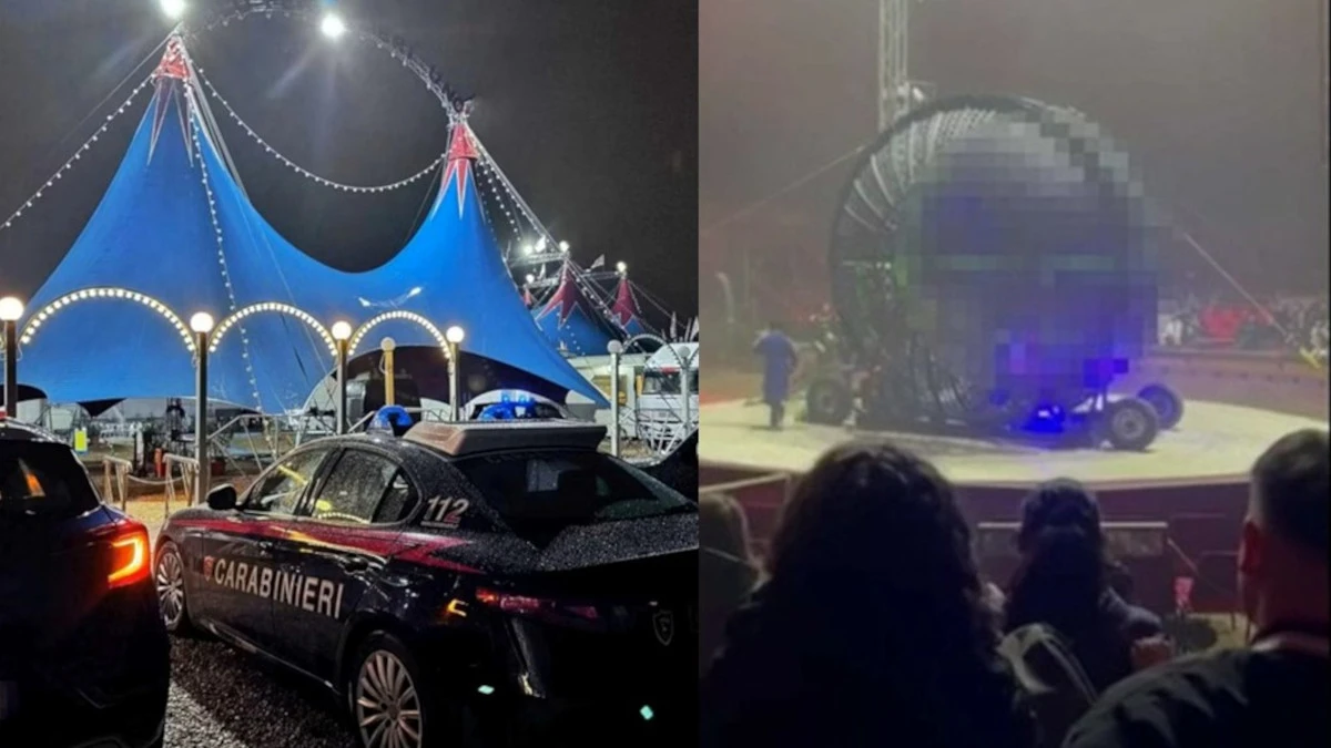 Tragedia al circo: si accendono le luci, poi le urla e lo shock. L’incidente mortale davanti a tutti