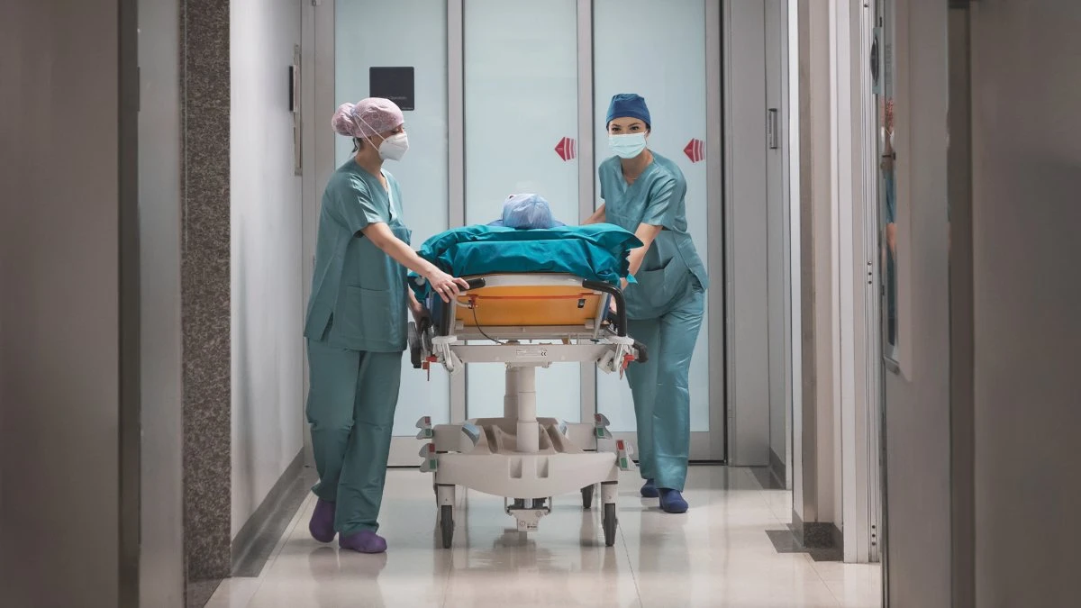 “Sono velenosi, non mangiateli”. Italia, boom di intossicati: finiti tutti in ospedale