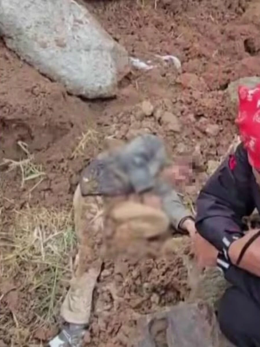 Forze dell'ordine e volontari impegnati nelle ricerche del bambino scomparso