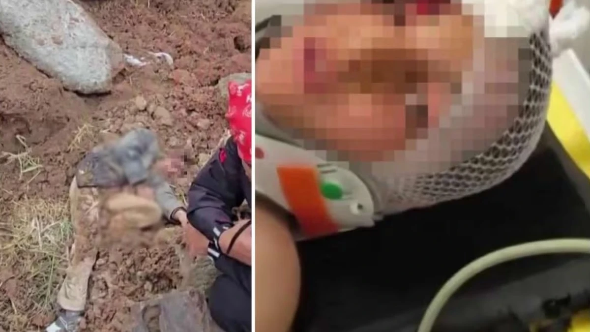 bimbo scomparso dopo la scuola trovato cos236 la svolta da Tvzap.it bimbo scomparso dopo la scuola trovato cos236 la svolta