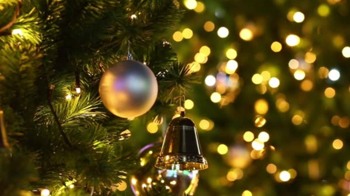 Come rendere l’albero di Natale più luminoso: il trucco virale Come rendere l’albero di Natale più luminoso: il trucco virale