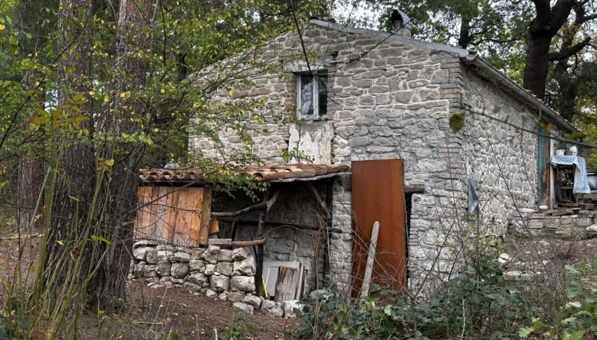 Il casolare della famiglia nel bosco