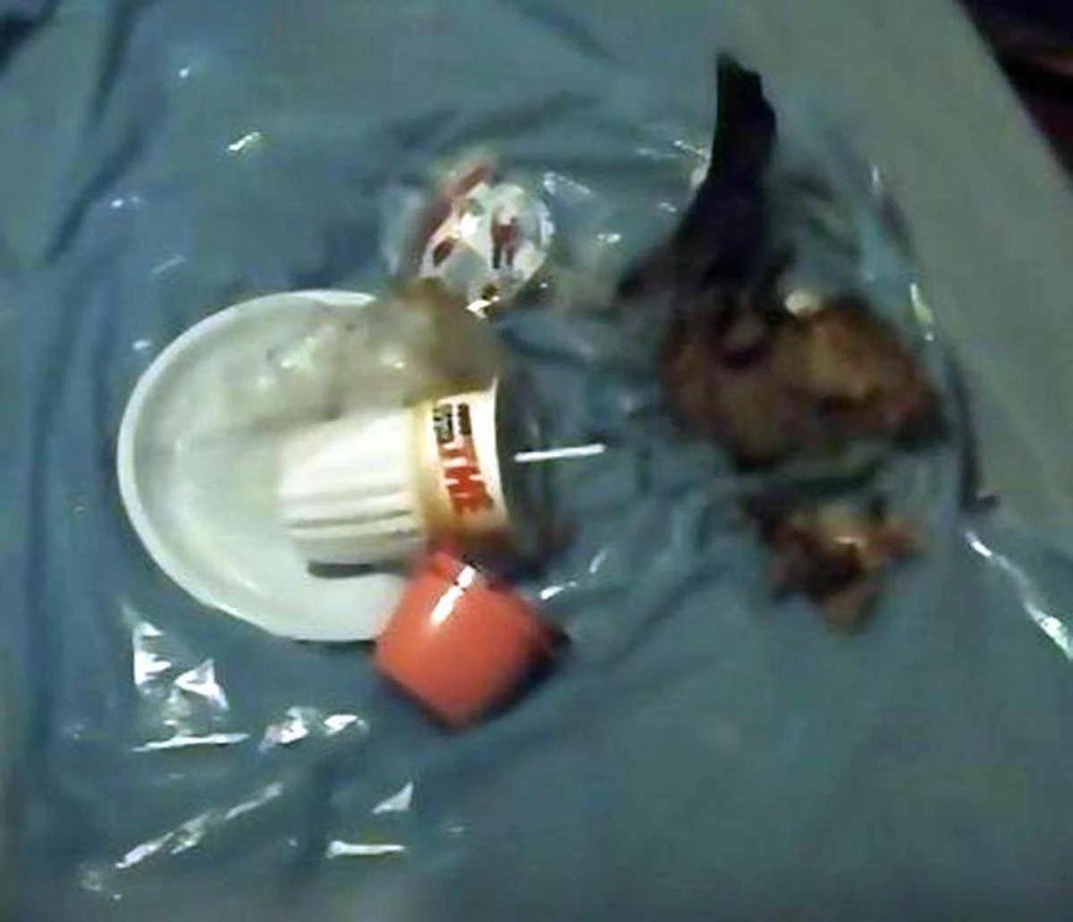 Dettaglio dei rifiuti esaminati nel caso Chiara Poggi