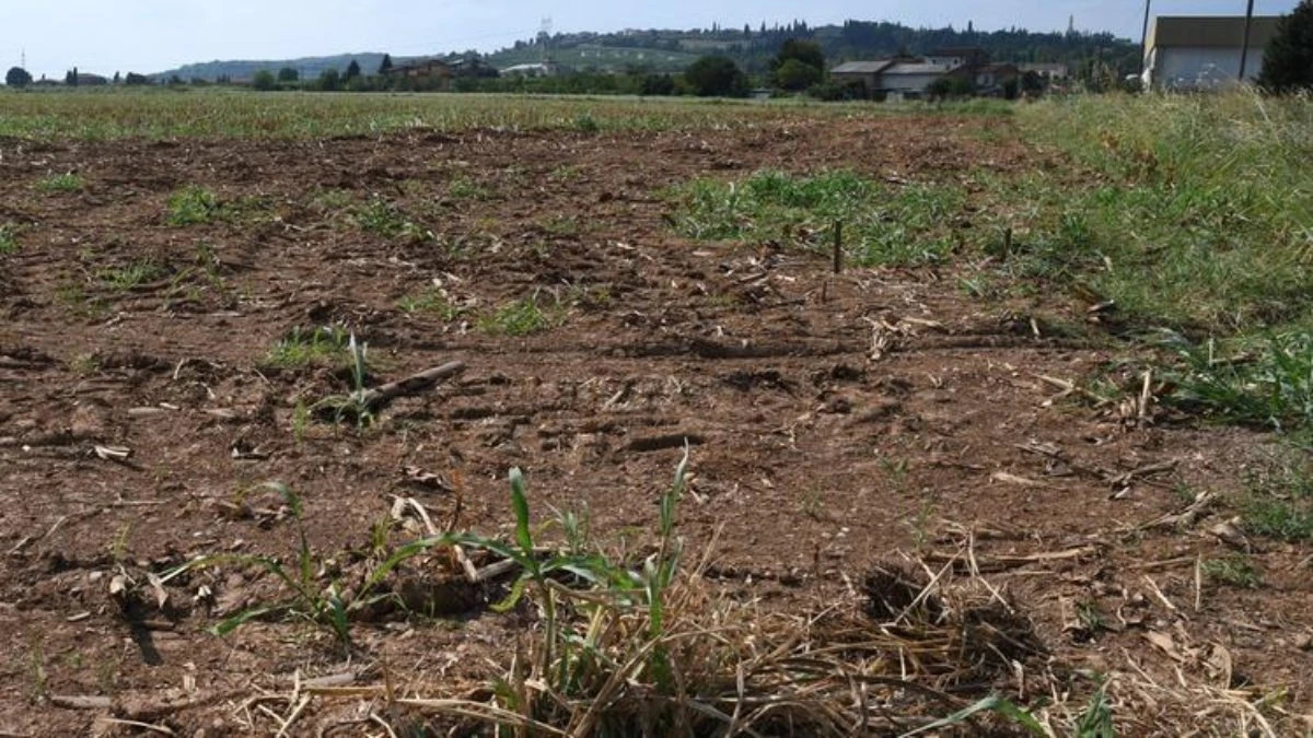 Giovani minatori nel distretto di Panna in India, durante la ricerca di diamanti