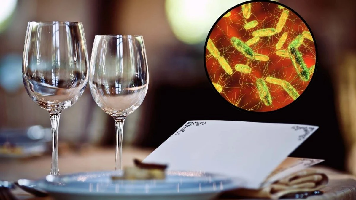 Controlli sanitari su prodotti ittici e molluschi per prevenire la salmonellosi