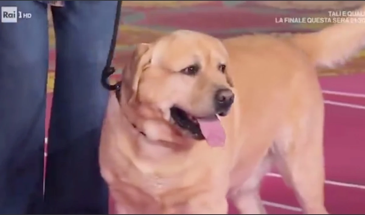 Antonella Clerici con Simba durante il momento dedicato all'ospite a quattro zampe