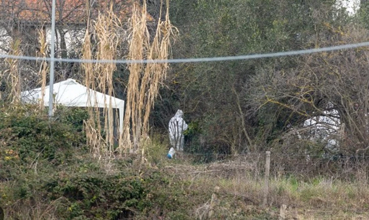 Zona dei ritrovamenti e indagini sul caso di Federica Torzullo