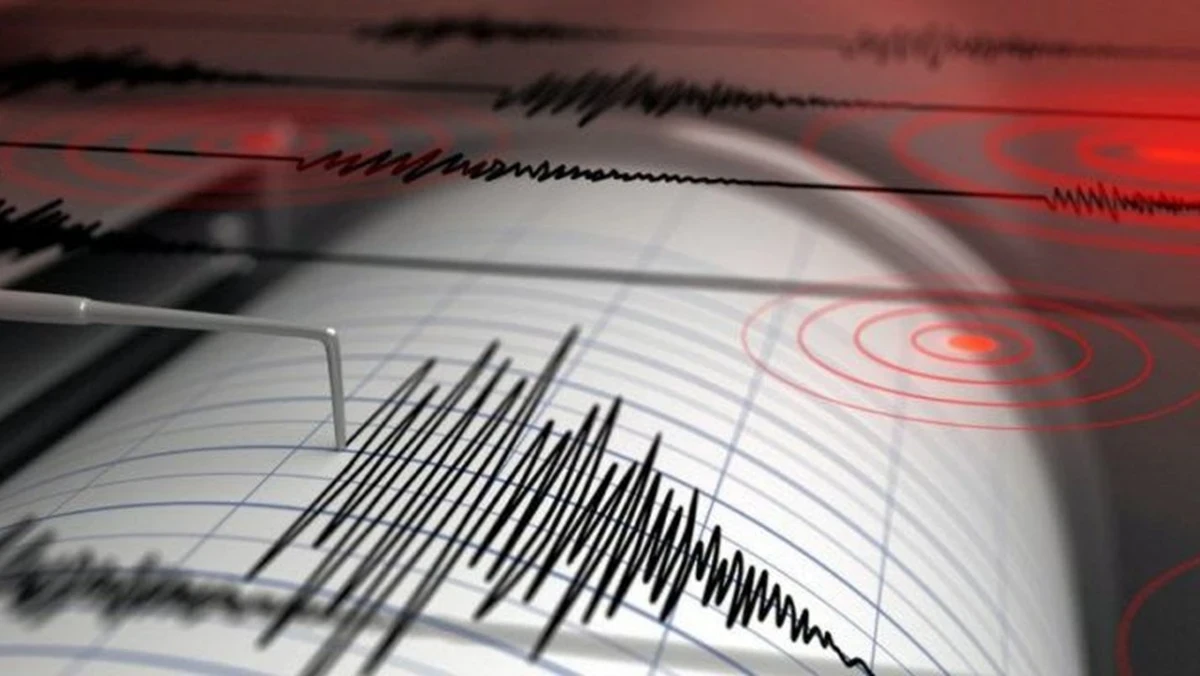 Immagine di supporto relativa al terremoto, con rappresentazione grafica dell’evento sismico