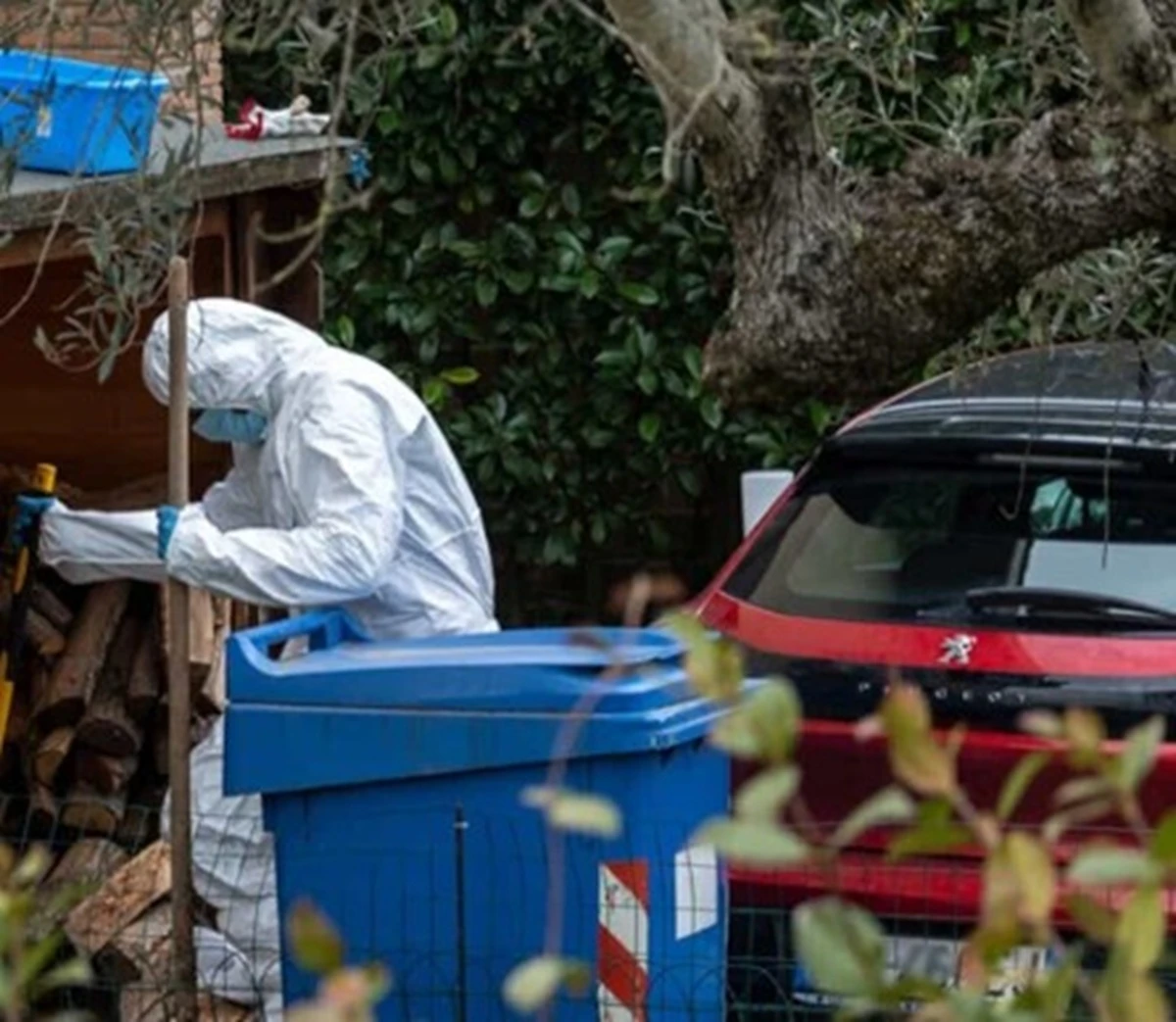 Ritratto di Federica Torzullo