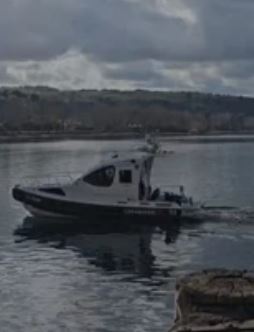 Ricerche di Federica Torzullo scomparsa ad Anguillara