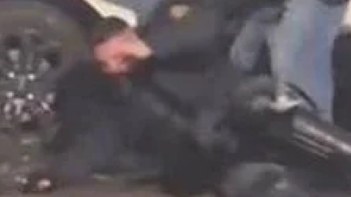 Torino, scontri durante il corteo per Askatasuna: agenti in servizio