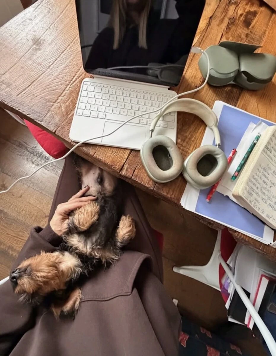 La famiglia Pacelli alle prese con Anacleto, il cucciolo appena arrivato