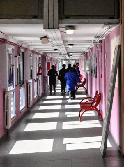 Eugenia Carfora condannata, la preside di Caivano dovrà risarcire il docente escluso dalle graduatorie