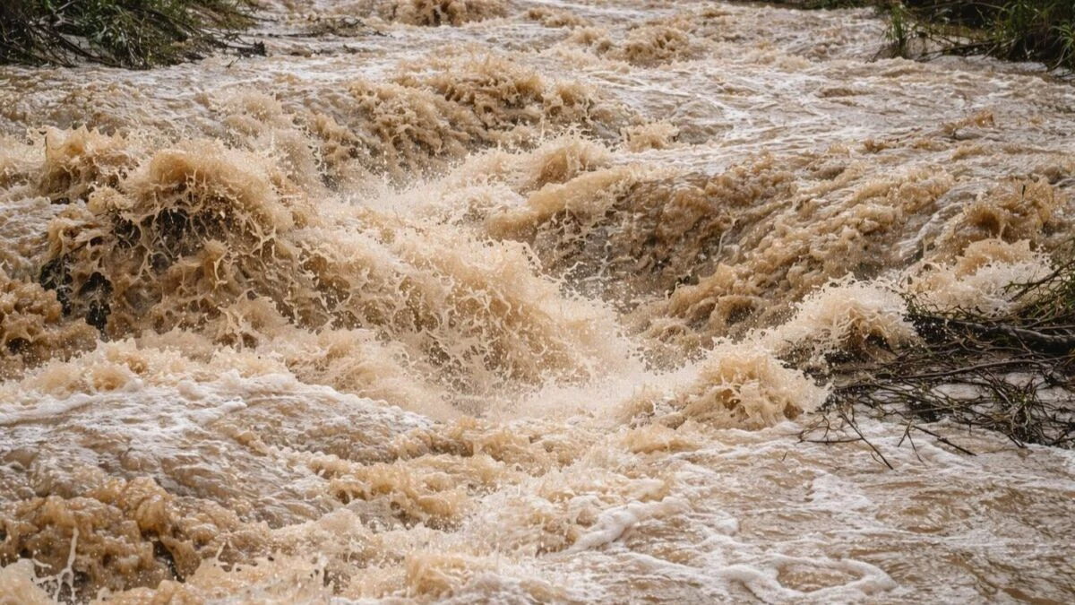 Piogge e vento: monitoraggio meteo e criticità idrogeologiche
