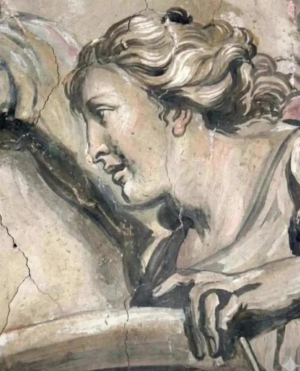 Immagine del volto del cherubino dopo il restauro, oggetto di confronto online
