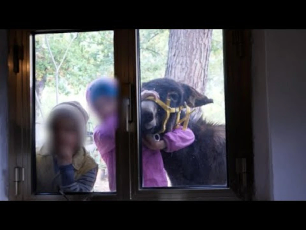 Tre bambini coinvolti nel caso della famiglia del bosco