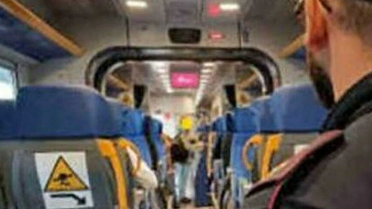 Treno regionale in Germania: controlli a bordo e intervento delle forze dell’ordine