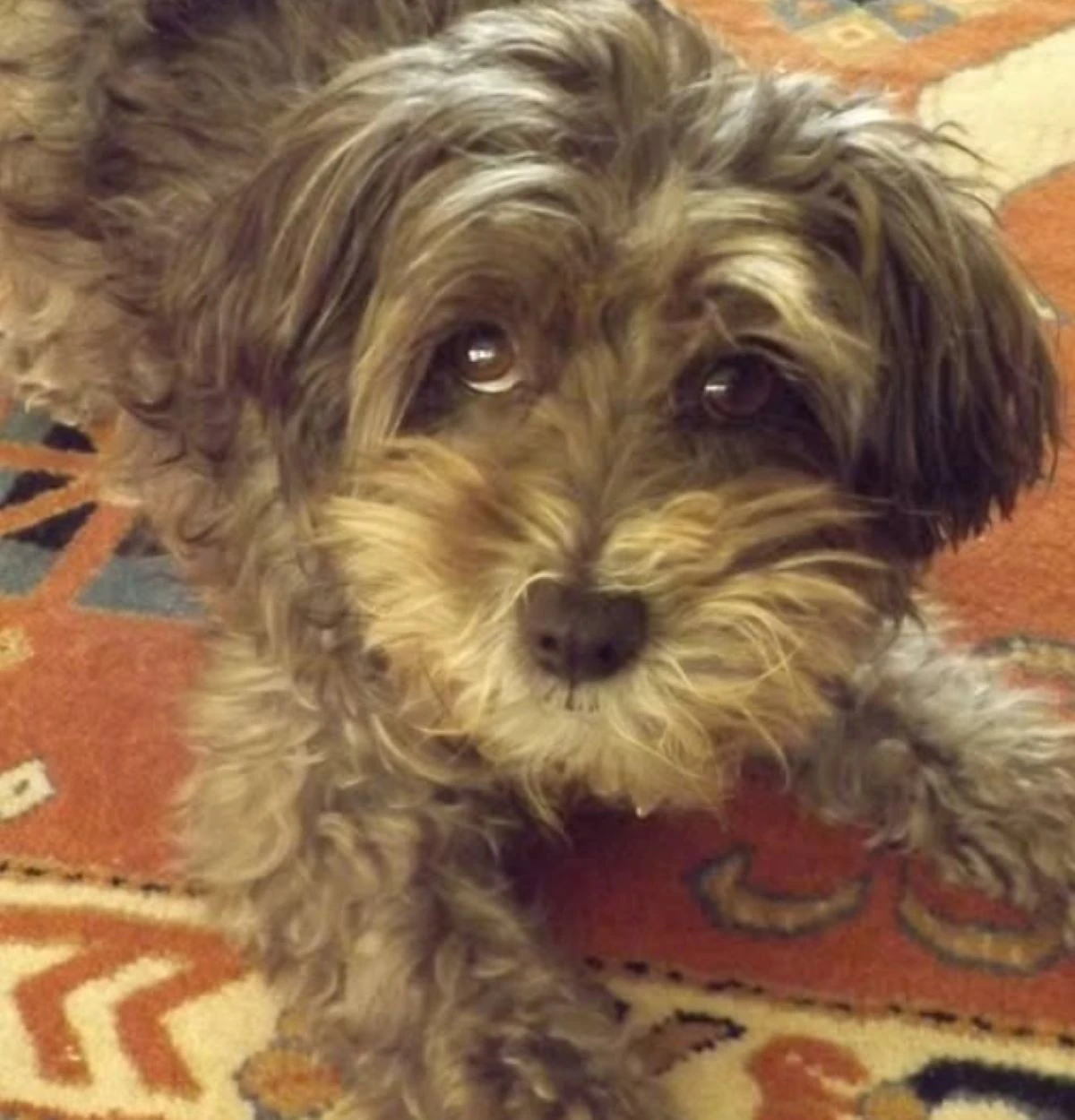 Romina Power: immagine condivisa sui social