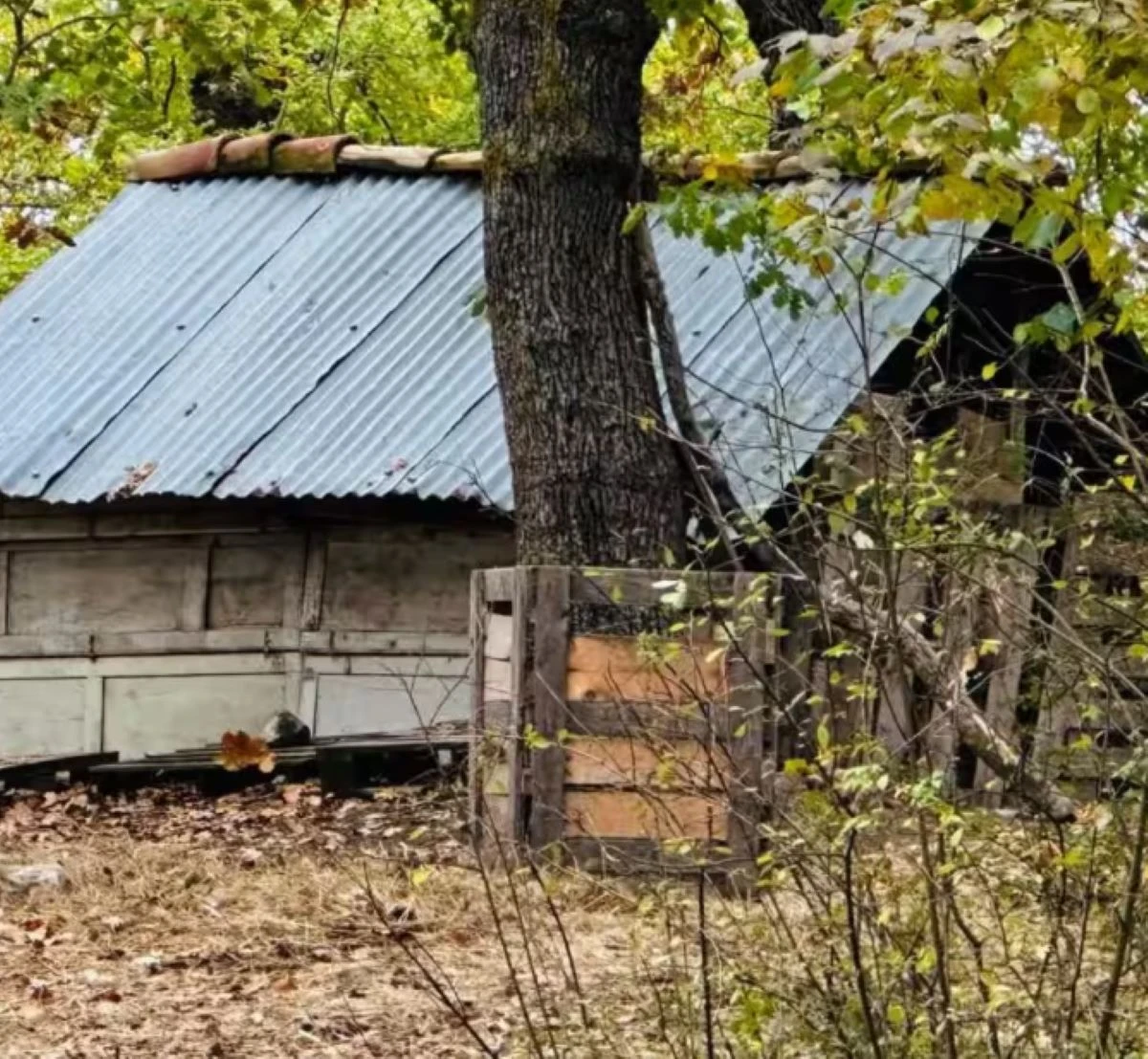 Casa nel bosco collegata al caso della famiglia