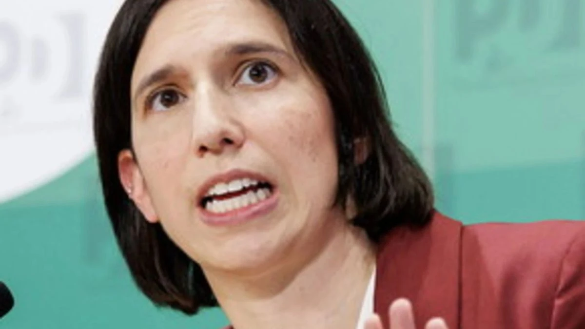 affluenza alta partita aperta il vero rischio politico di schlein passa dai numeri delle urne da Tvzap.it affluenza alta partita aperta il vero rischio politico di schlein passa dai numeri delle urne