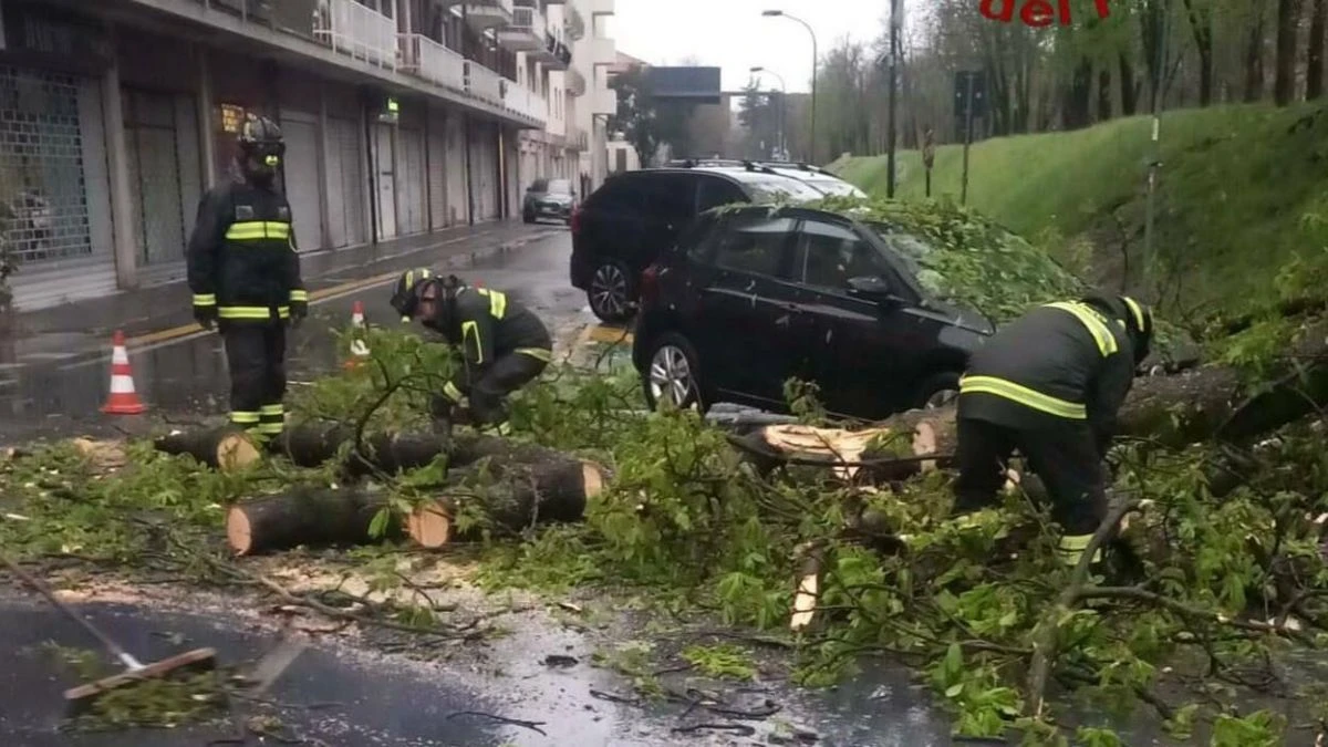 Maltempo in Friuli-Venezia Giulia con vento forte e piogge