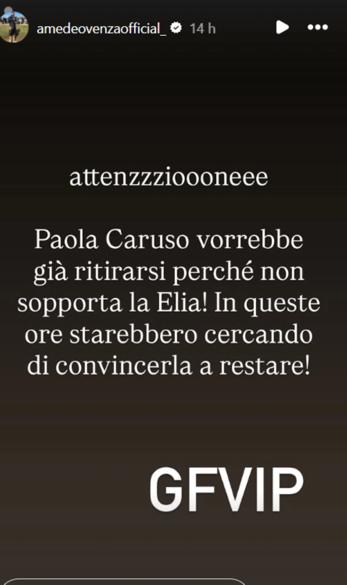 Grande Fratello Vip 2026, logo e immagini del reality