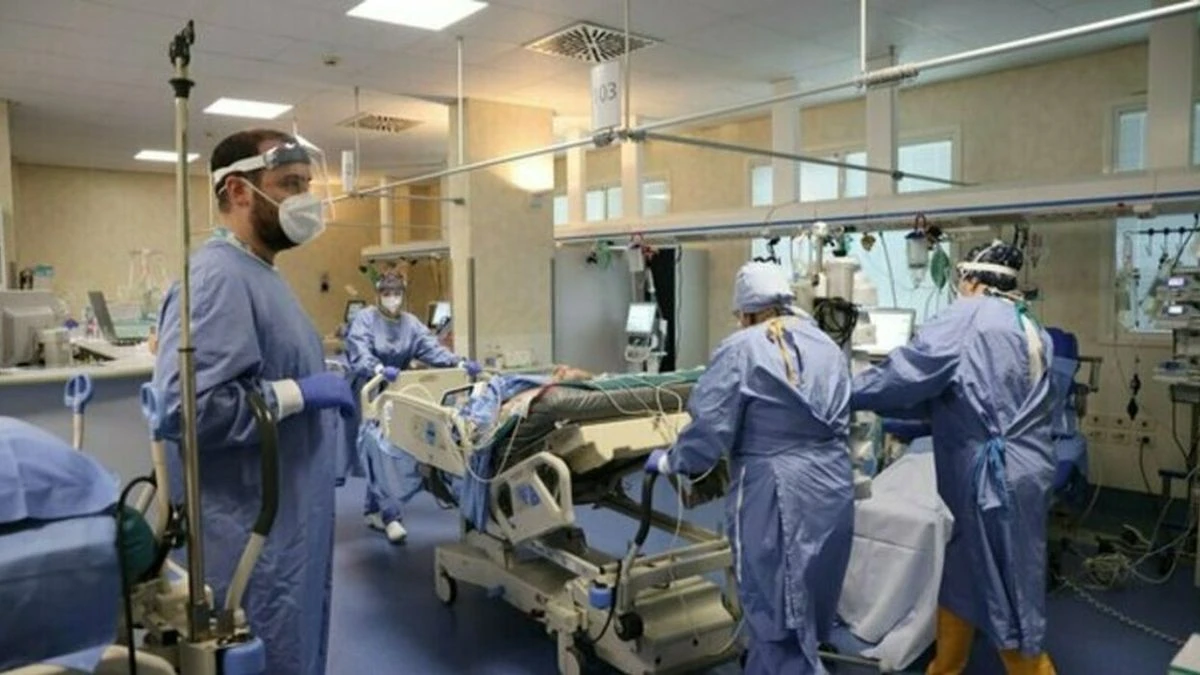 Immagine informativa su controlli e sorveglianza sanitaria per influenza aviaria