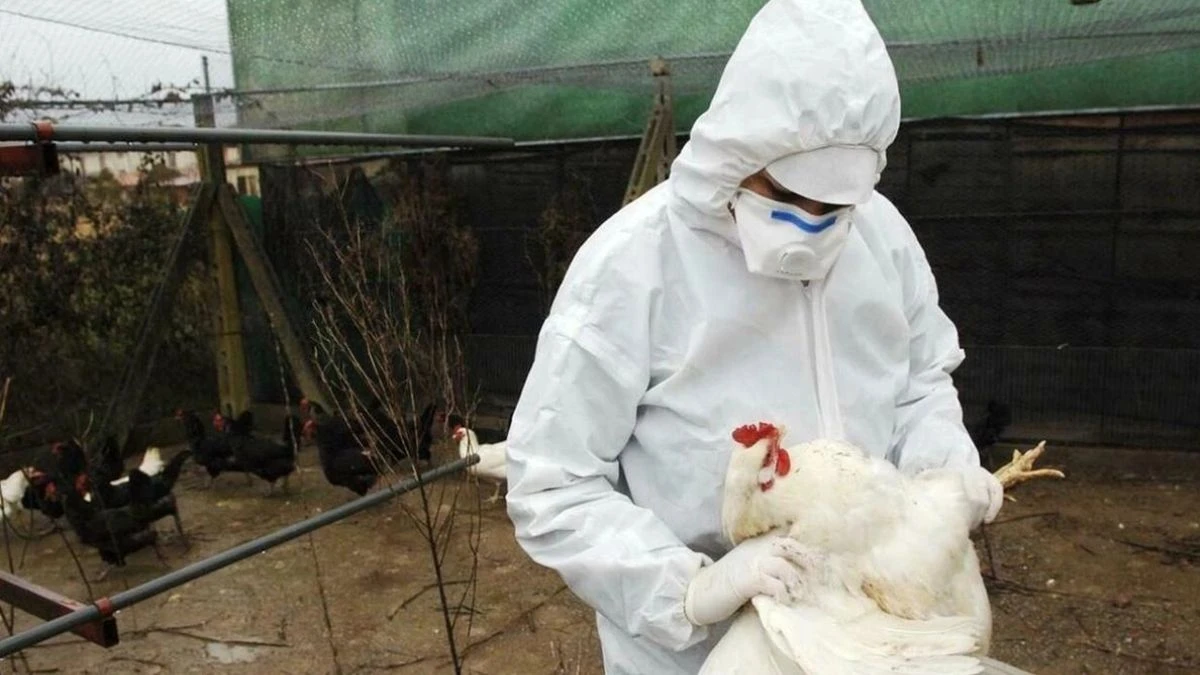 Struttura sanitaria in Lombardia dove è stato segnalato un caso umano di influenza aviaria H9N2