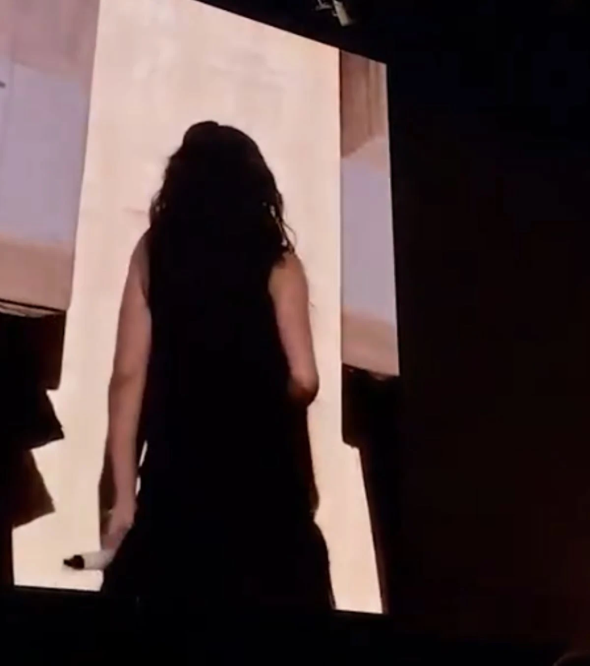 Rosalía durante il concerto: momento di preoccupazione dopo il malore