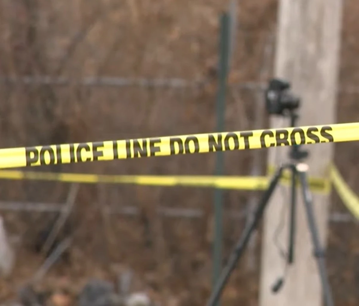 Area verde a South Collinwood dove sono state trovate due valigie sepolte