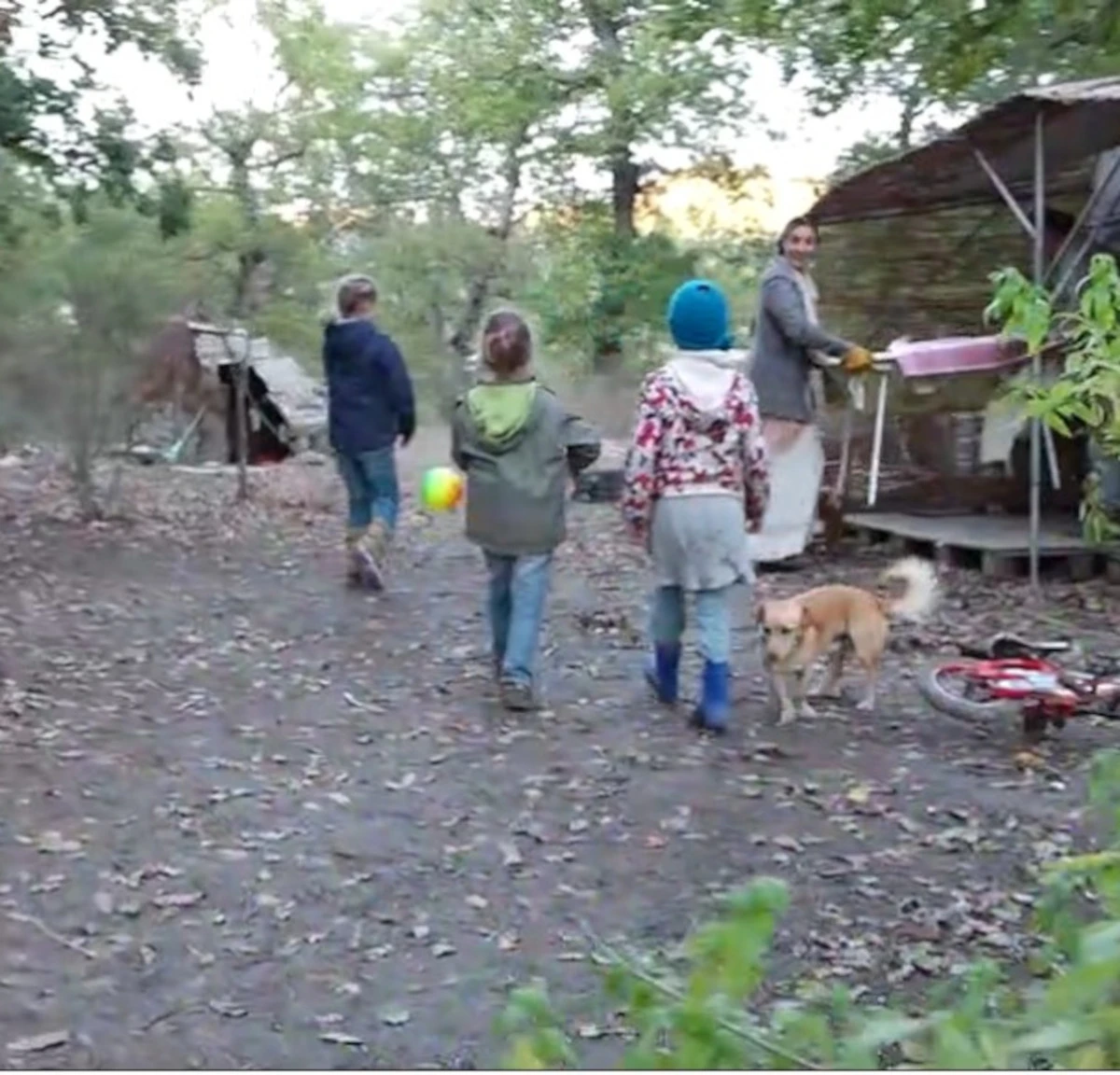 Palmoli, il caso della famiglia nel bosco e l'allontanamento dei tre bambini