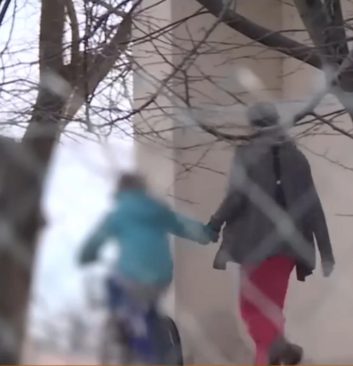 Dettaglio della casa e del contesto boschivo legato al caso Trevallion