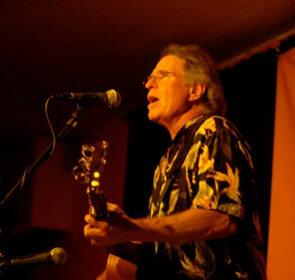 Ritratto di Country Joe McDonald durante la carriera