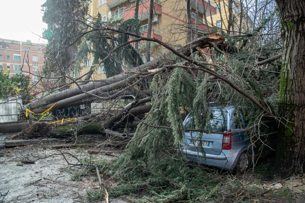 Maltempo e vento a Roma, albero caduto in via Costanzo Cloro alla Garbatella