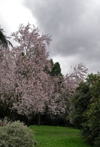 Meteo, torna la neve in Italia: previsioni per i prossimi giorni