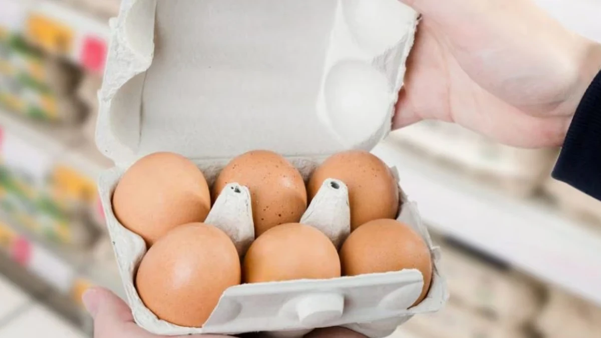 Confezione di uova fresche: richiamo per possibile contaminazione da Salmonella